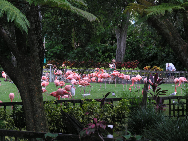 DSCN7249.jpg