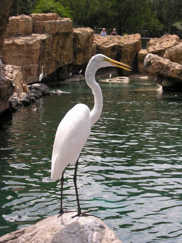 DSCN7019.jpg