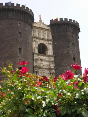DSCN6522.jpg