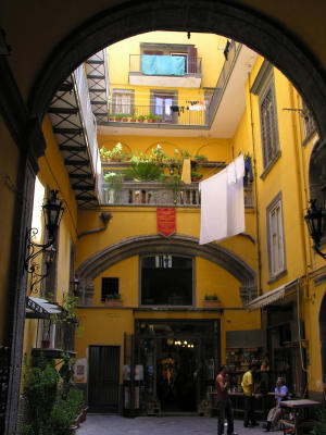 DSCN6391.jpg