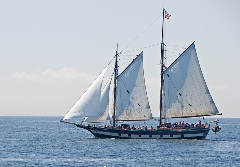 Mystic Whaler 