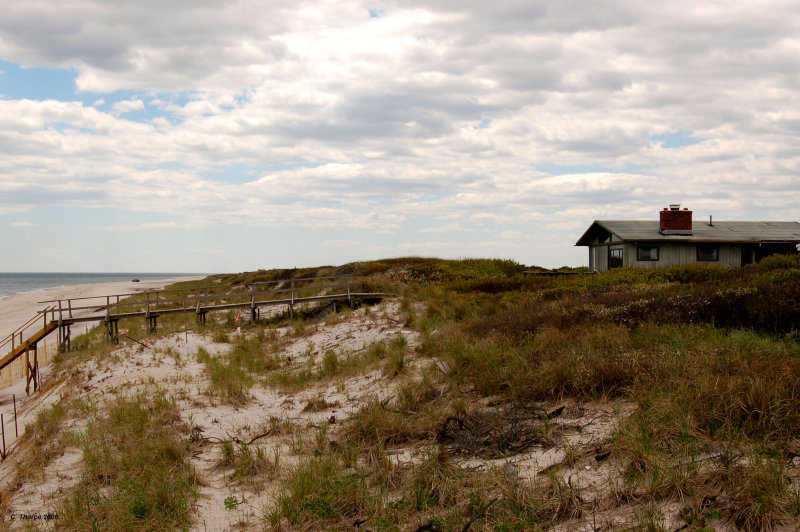 Dune House