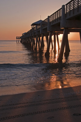 Juno Pier Dawn