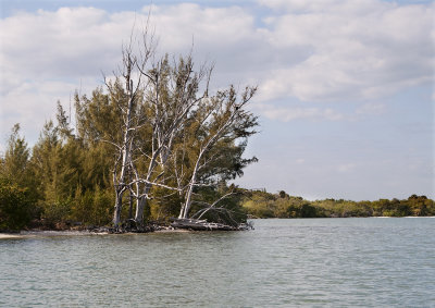 Osprey Bay