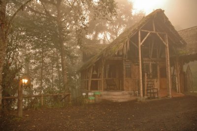 Bellavista Cloud Forest Lodge 2