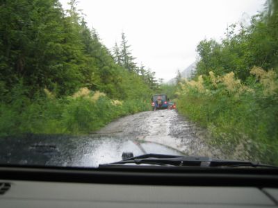 we drove on old logging roads in the rain forrest
