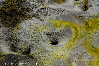 Mud Pools