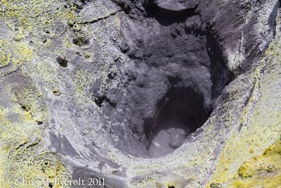 Mud Pools