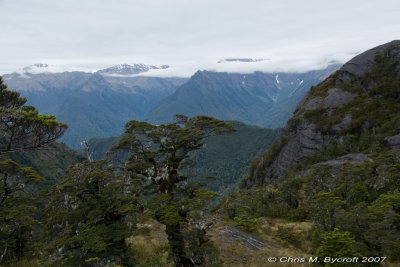 View towards Waiototo Range from bushline