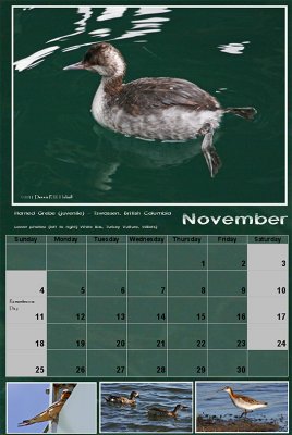 November 2012