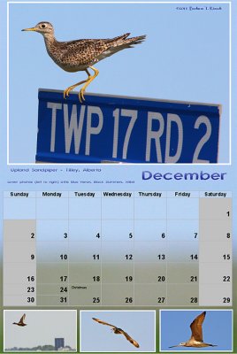 2012 Photo Calendar