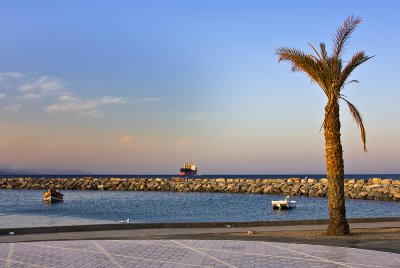 IMG_6248.jpg