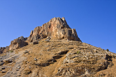 IMG_1429_Arbel.jpg