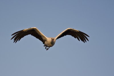 IMG_1684.jpg