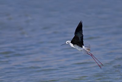 IMG_7491.jpg
