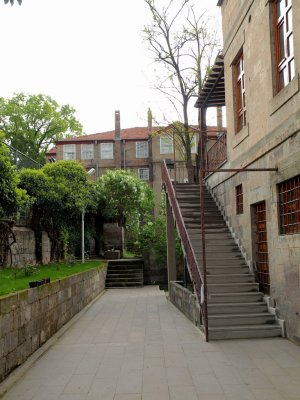 P5142794-1.JPG