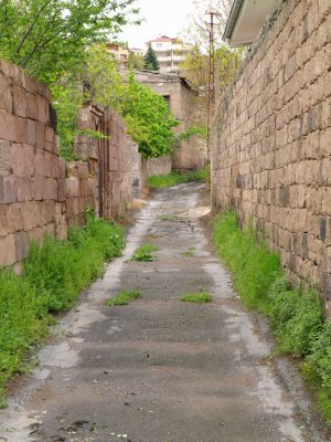 P5153080-1.JPG