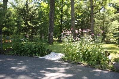 3T0G9508.JPG