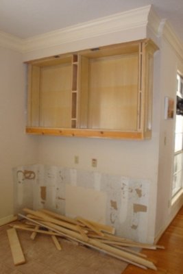 Kitchen Remodeling 2011