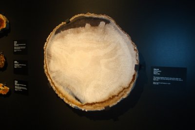 DSC08644.JPG
