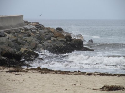 IMG_0178.JPG