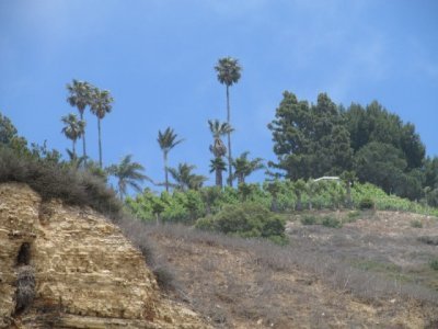 IMG_0584.JPG