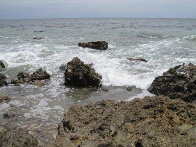 IMG_0619.JPG