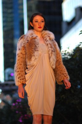 DSC_0686A.jpg