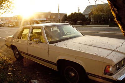 Car in the sun