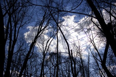 Clouds in the Wind