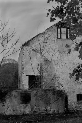 Old House B&W