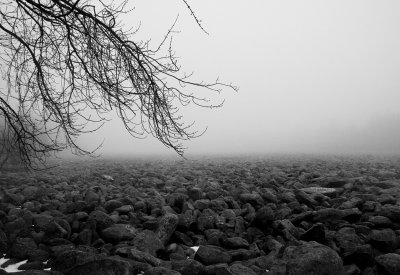 Field_of_Boulders