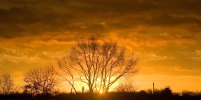 Coolsky_2WEB.jpg