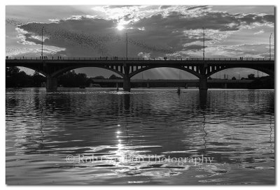 Bats at the Congress Bridge in Austin, Texas