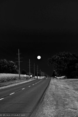 Harvest Moon