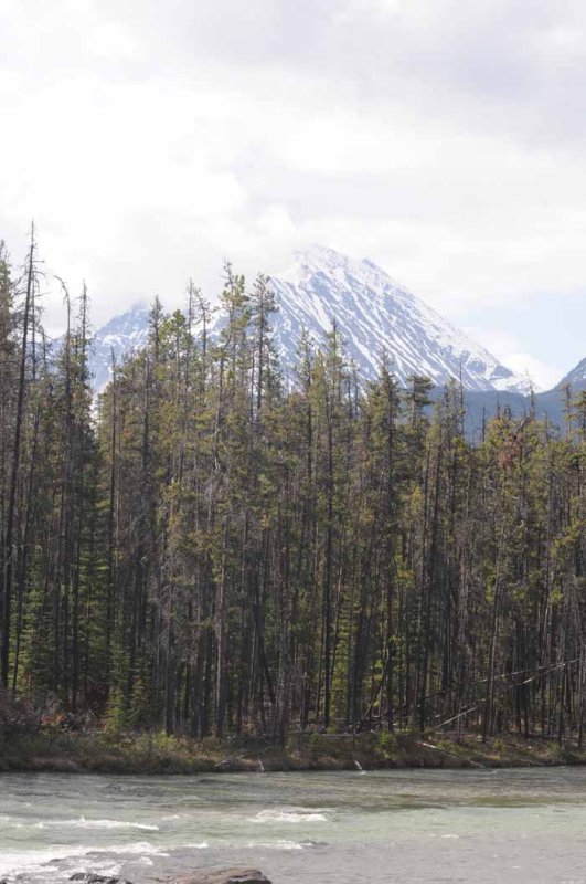 Banff & Jasper, 2011