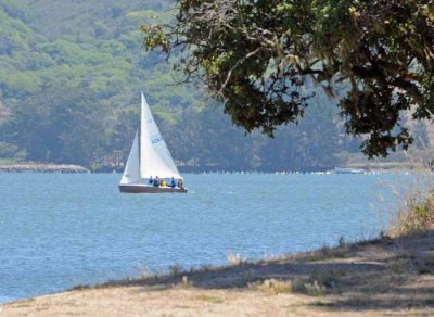 August on Tomales Bay,California