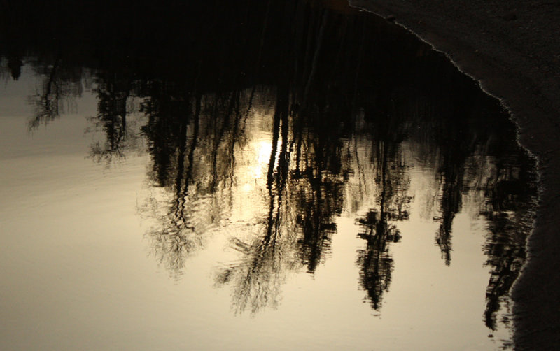 Evening Reflections.jpg