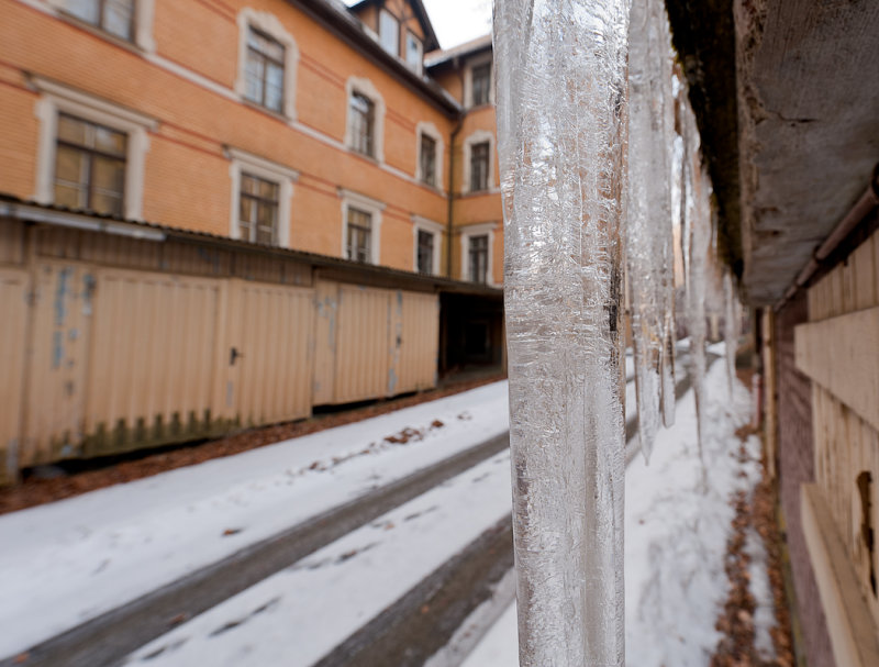 _DSC7392 copy.jpg