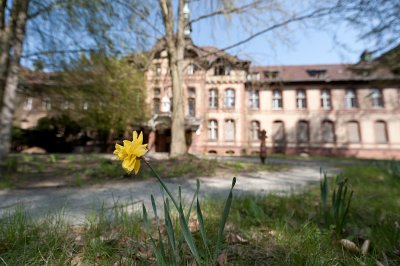 Beelitz Heilstatten, abandoned...