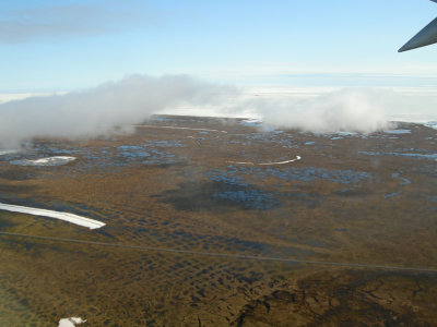 Tundran Alaska Barrow