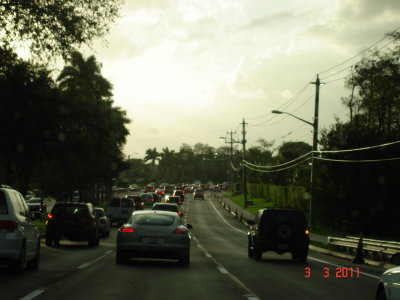 DSC03903.JPG