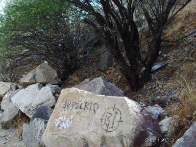 PICT0745.JPG