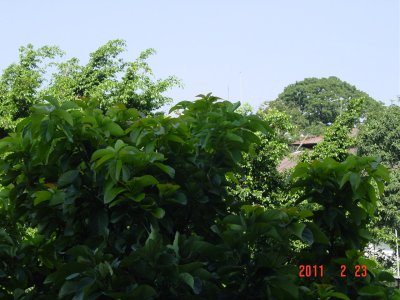 DSC09018.JPG