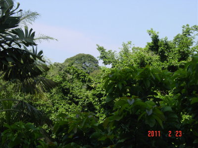 DSC09017.JPG