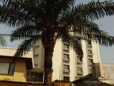 PICT0155.JPG