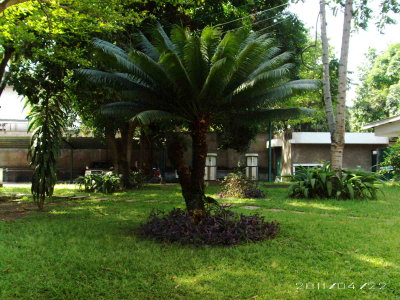 PICT0197.JPG