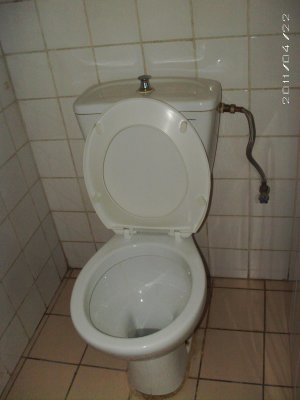 basic_toilette