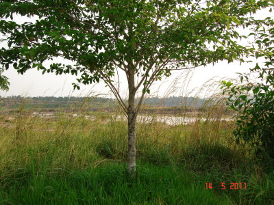 DSC04869.JPG