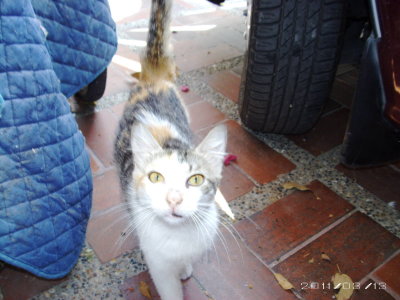 PICT0317.JPG
